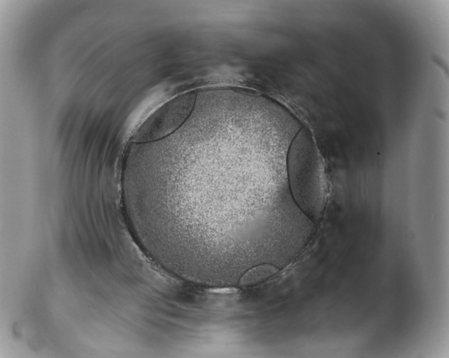 X0000103170053200809051731