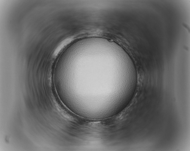 X0000103170054200809051731