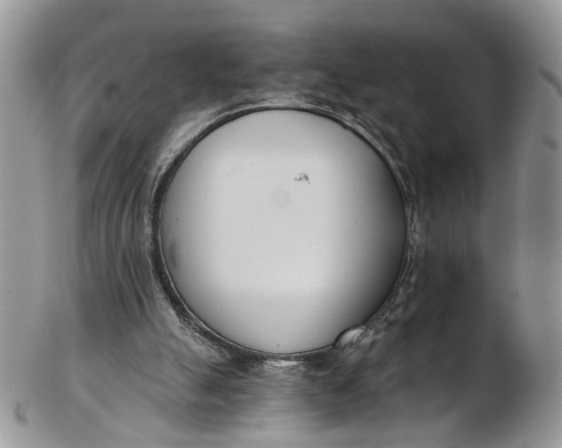 X0000103170055200809051731