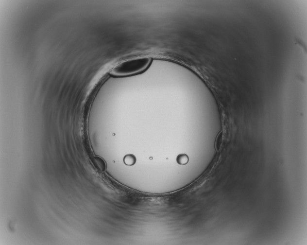 X0000103170056200809051731