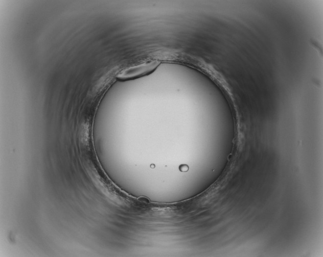 X0000103170057200809051731