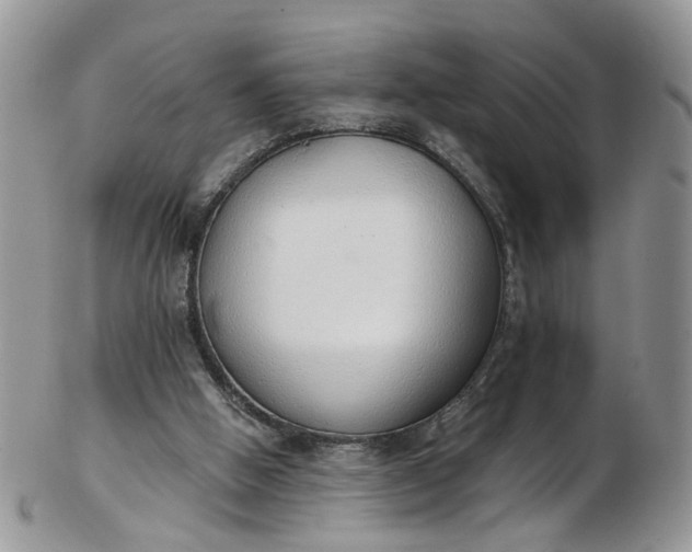 X0000103170058200809051731