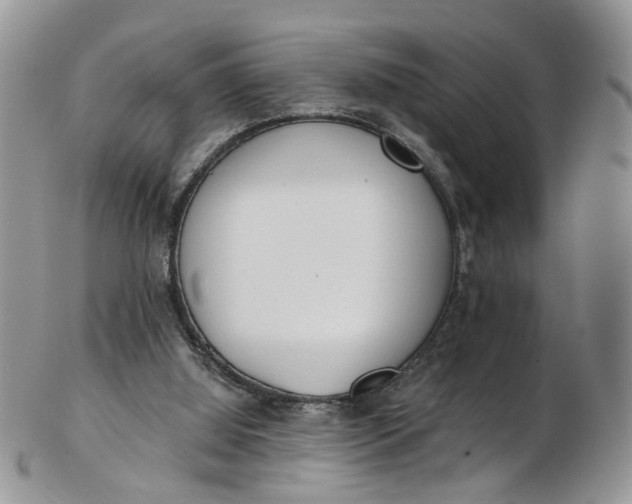 X0000103170060200809051731