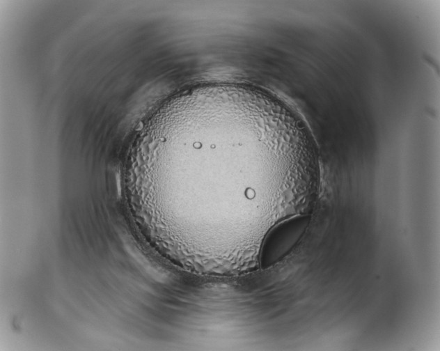 X0000103170061200809051731