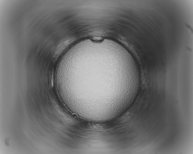 X0000103170062200809051731