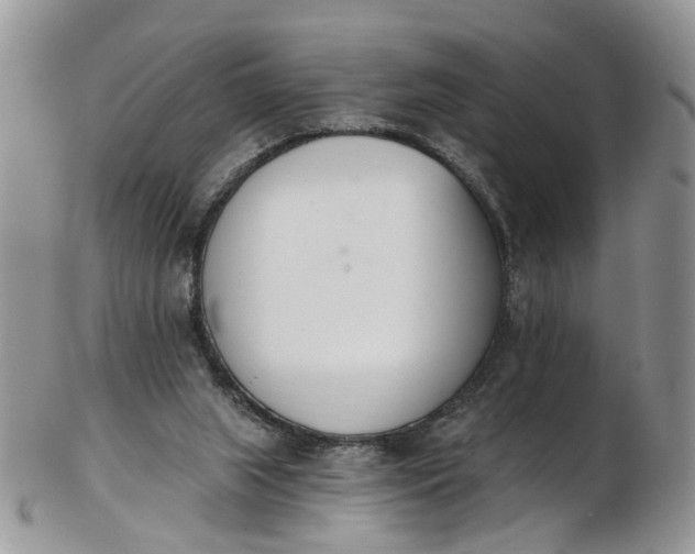 X0000103170063200809051731