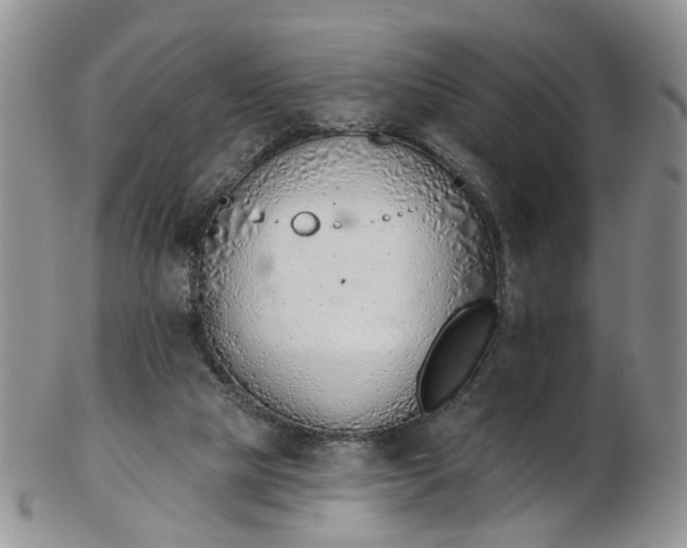 X0000103170065200809051731