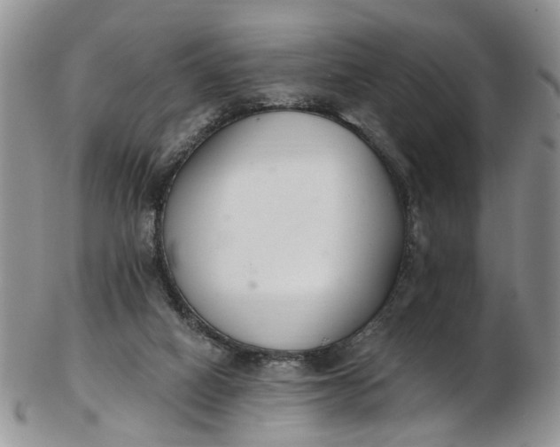 X0000103170066200809051731