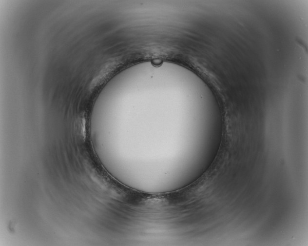 X0000103170067200809051731