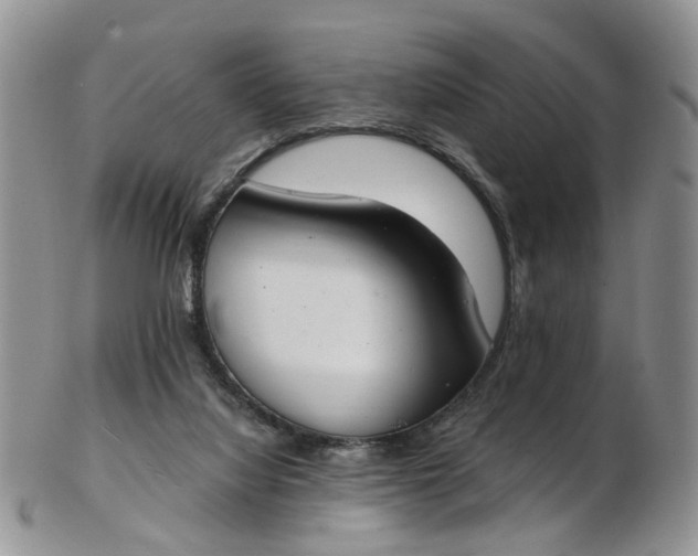 X0000103170068200809051731