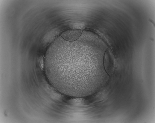 X0000103170069200809051731