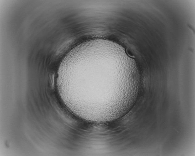 X0000103170070200809051731