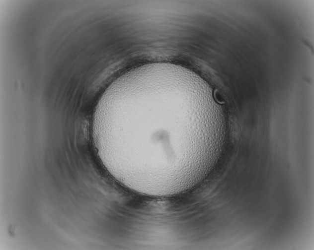 X0000103170071200809051731