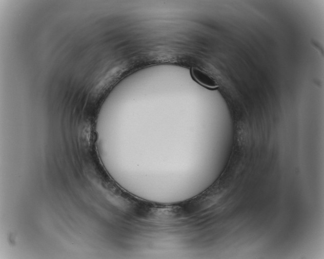 X0000103170072200809051731