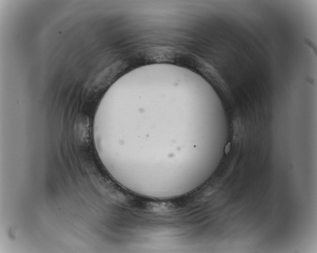 X0000103170073200809051731