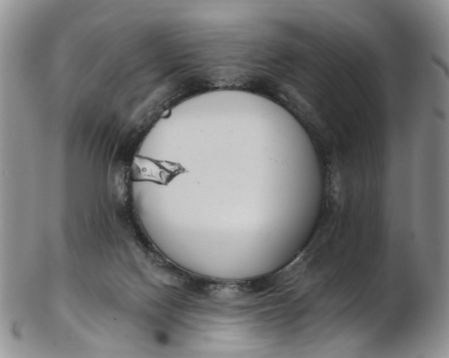 X0000103170074200809051731