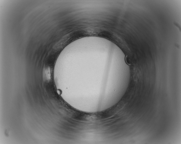 X0000103170075200809051731