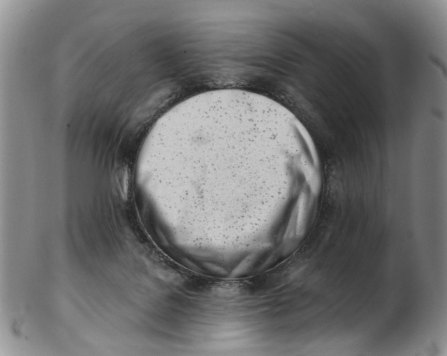 X0000103170076200809051731