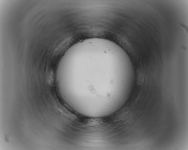 X0000103170077200809051731