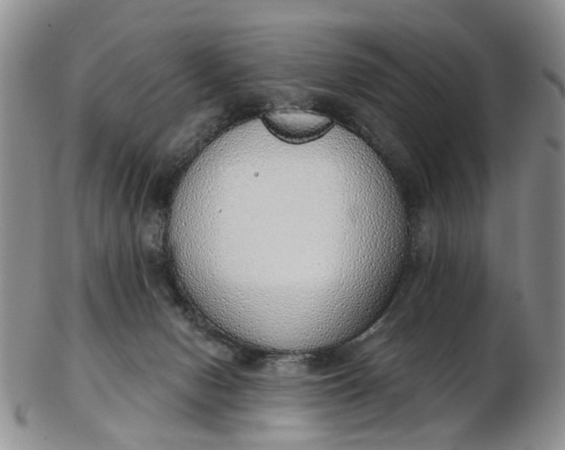 X0000103170078200809051731