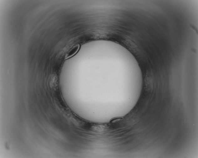 X0000103170079200809051731