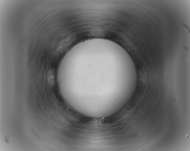 X0000103170080200809051731