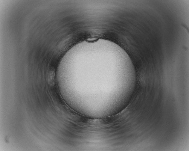 X0000103170082200809051731