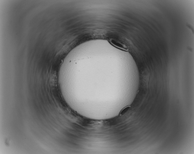 X0000103170083200809051731