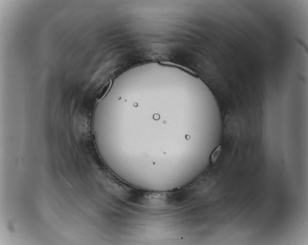 X0000103170084200809051731