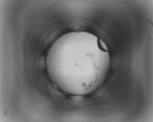 X0000103170085200809051731