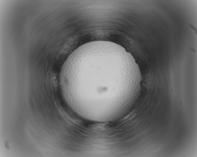 X0000103170086200809051731