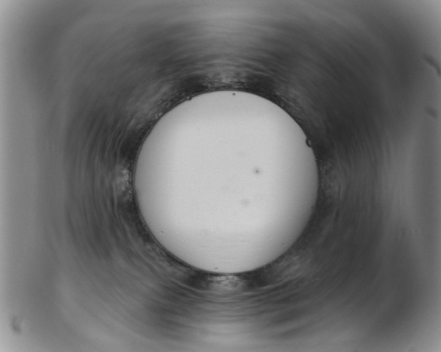 X0000103170087200809051731