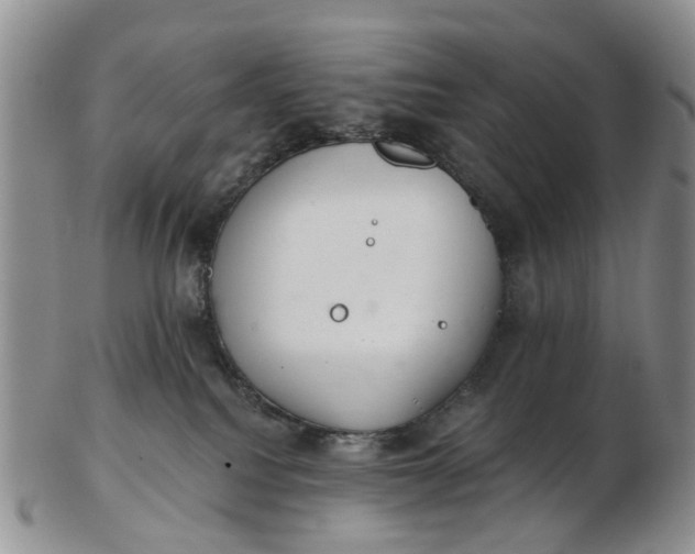 X0000103170088200809051731