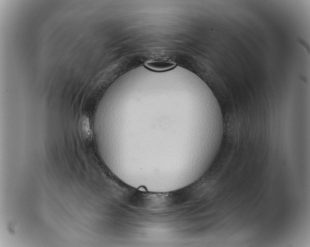 X0000103170089200809051731