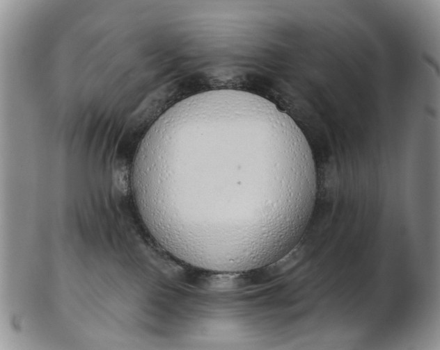 X0000103170090200809051731