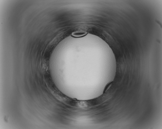 X0000103170091200809051731