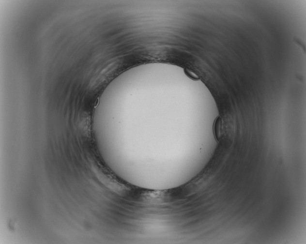 X0000103170092200809051731