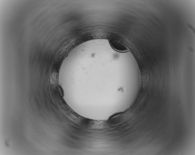 X0000103170093200809051731