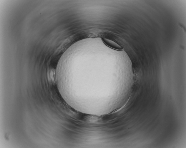 X0000103170094200809051731