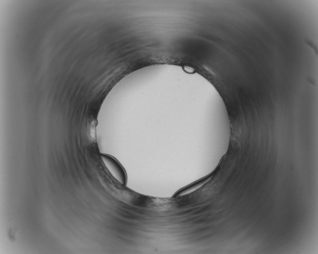 X0000103170095200809051731