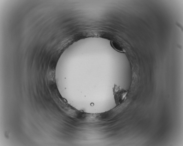 X0000103170096200809051731