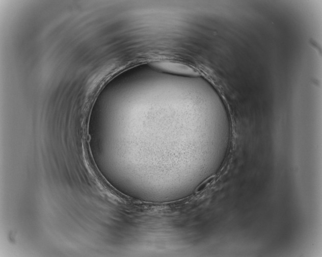 X0000103170097200809051731