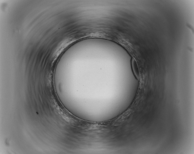 X0000103170098200809051731