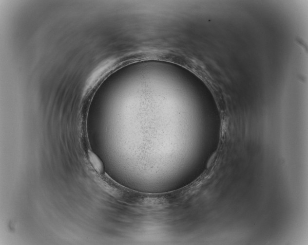 X0000103170101200809051731