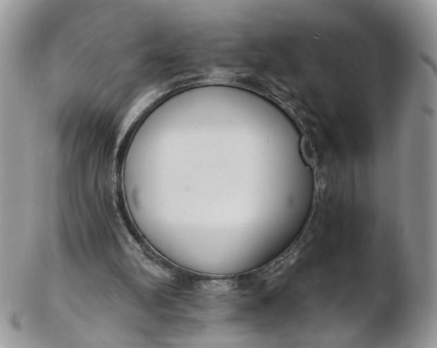 X0000103170102200809051730