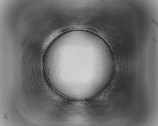 X0000103170103200809051730