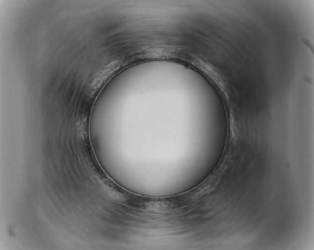 X0000103170105200809051730