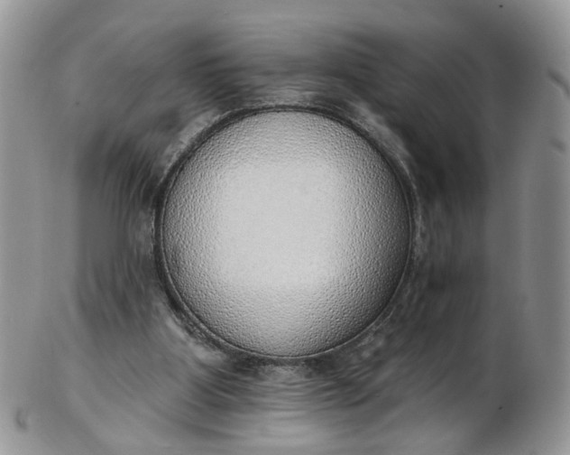 X0000103170107200809051730