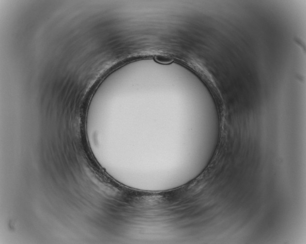 X0000103170108200809051730