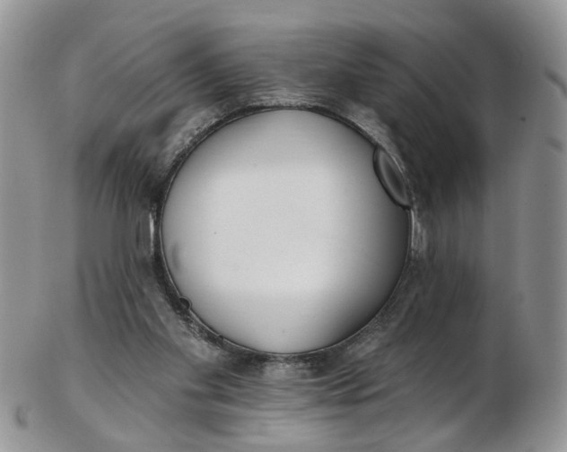 X0000103170109200809051730